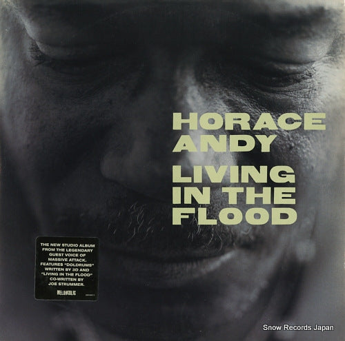 ANDY, HORACE living in the flood ASW48377-1