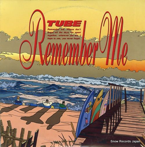 TUBE remember me 28AH5185