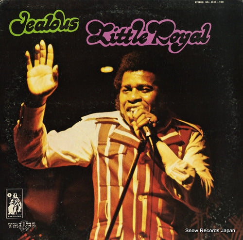 ROYAL, LITTLE jealous KS-1145-498