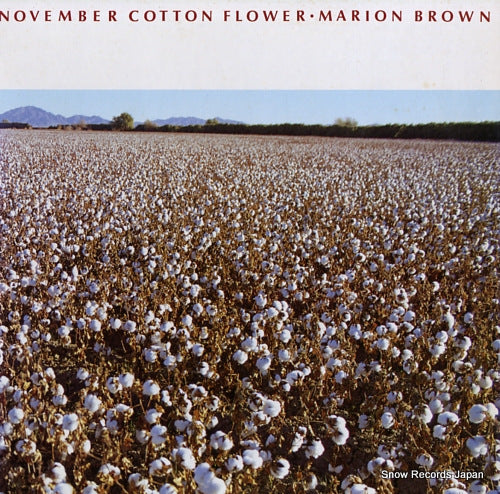 BROWN, MARION november cotton flower RVJ-6066