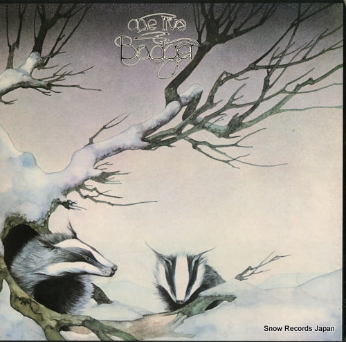 BADGER one live badger K40473