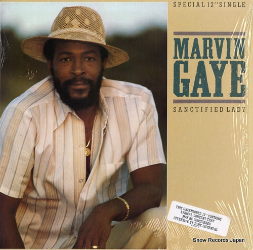 GAYE, MARVIN sanctified lady 4405188