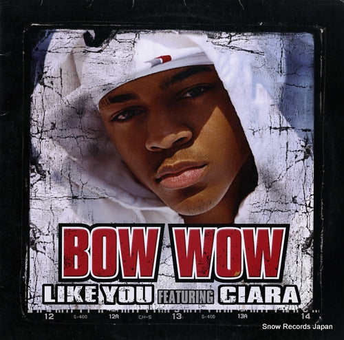 BOW WOW like you 82876791431