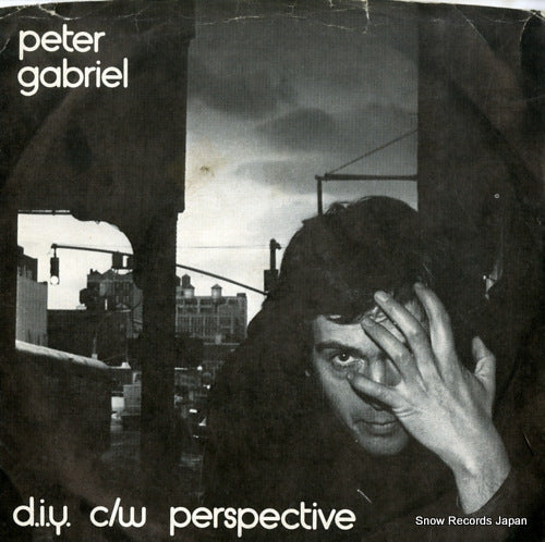 GABRIEL, PETER d.i.y CB311