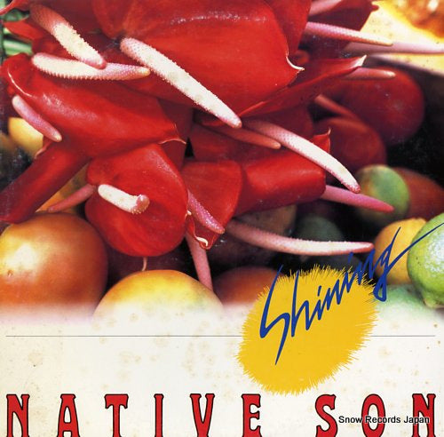 NATIVE SON shinning VIJ-28016