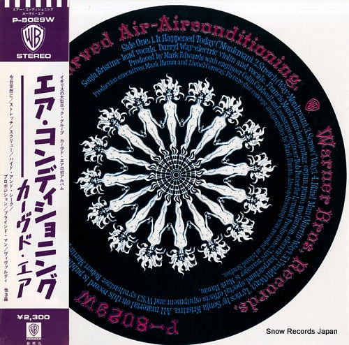 CURVED AIR air conditioning P-8029W