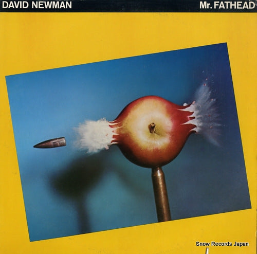 NEWMAN, DAVID FATHEAD mr.fathead BS2917