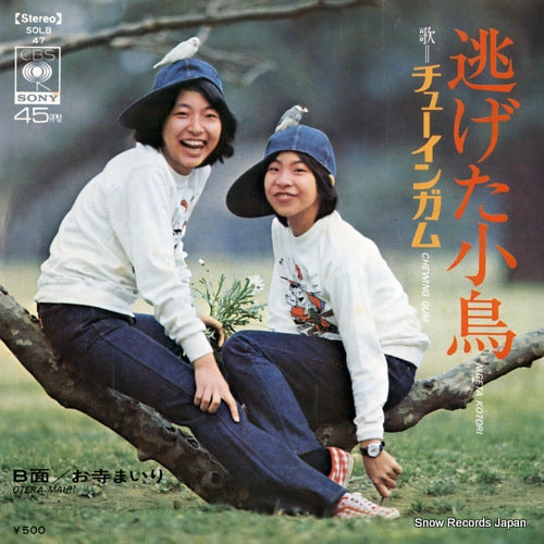 CHEWING GUM nigeta kotori SOLB47