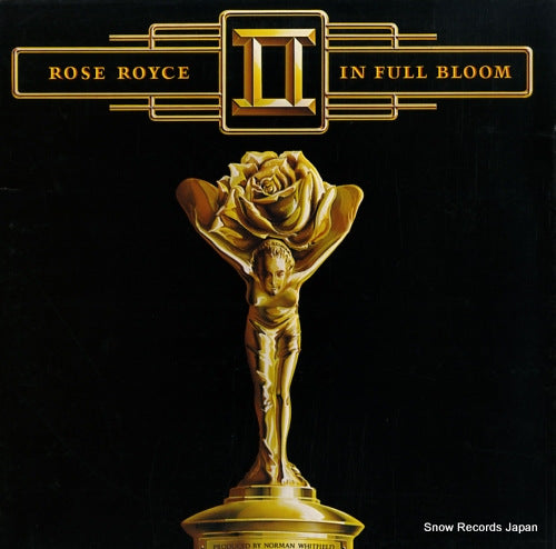 ROSE ROYCE in full bloom P-10405W