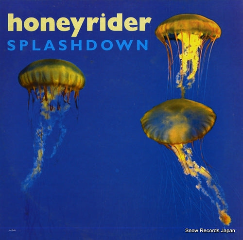 HONEYRIDER splashdown DAMGOOD177-LP