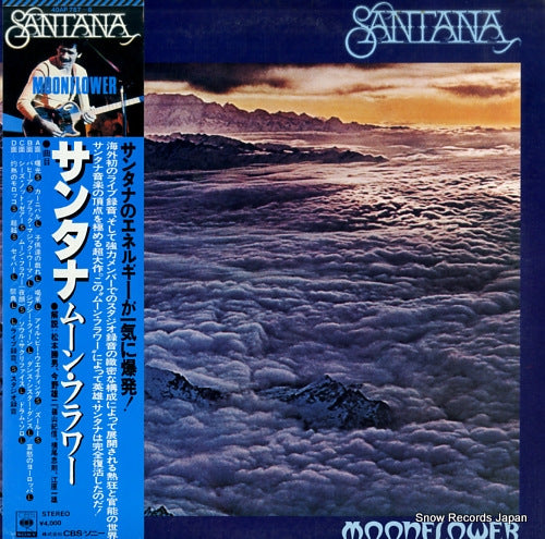 SANTANA moonflower 40AP787
