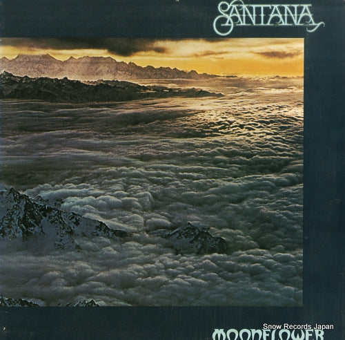 SANTANA moonflower C2-34914