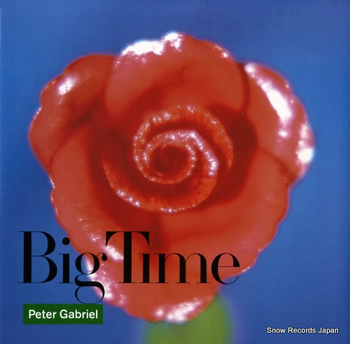 GABRIEL, PETER big time PGS312