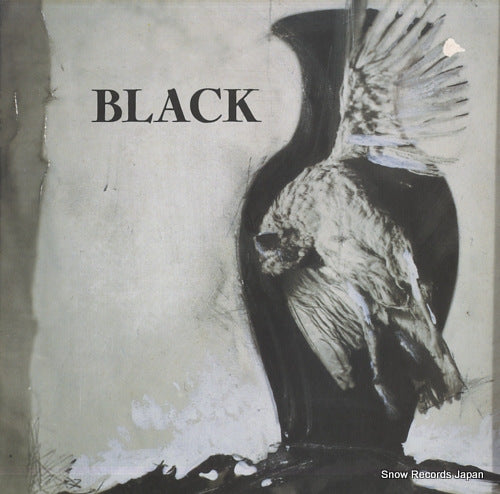 BLACK black WX137 / WE331