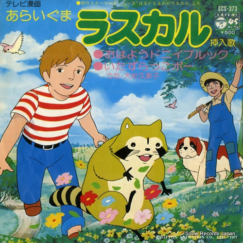 OSUGI, KUMIKO araiguma rascal SCS-373