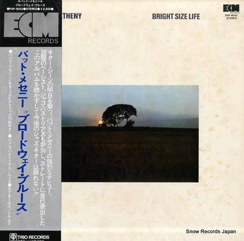 METHENY, PAT bright size life PAP-9043