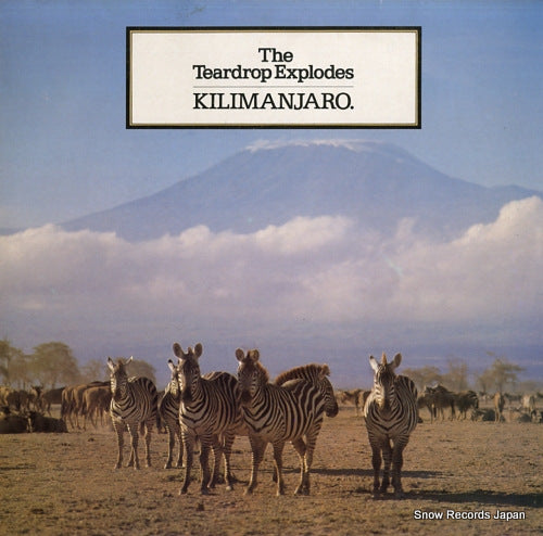 TEARDROP EXPLODES, THE kilimanjaro PRICE59