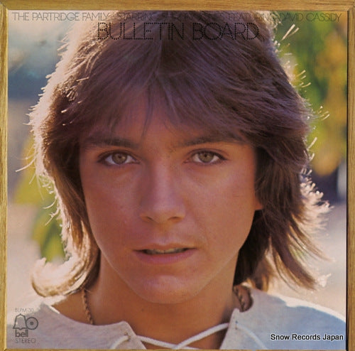 PARTRIDGE FAMILY FEATURING DAVID CASSIDY, THE bulletin board BLPM-30