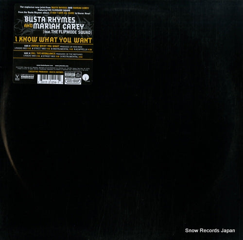 RHYMES, BUSTA i know what you want 80813-21258-1