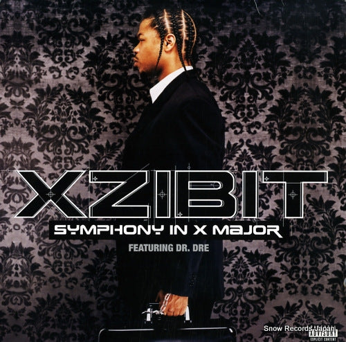 XZIBIT symphony in x major 4479838