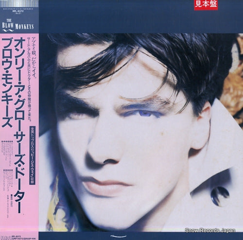 BLOW MONKEYS, THE she was only a grocer's daughter RPL-8372