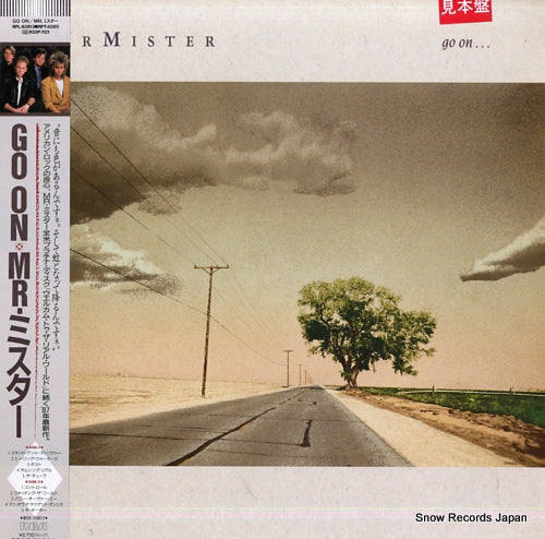 MR. MISTER go on RPL-8381