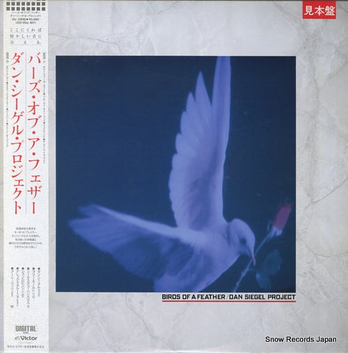 SIEGEL, DAN birds of a feather VIJ-28110
