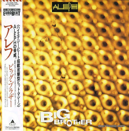 ALEPH big brother ALI-13038