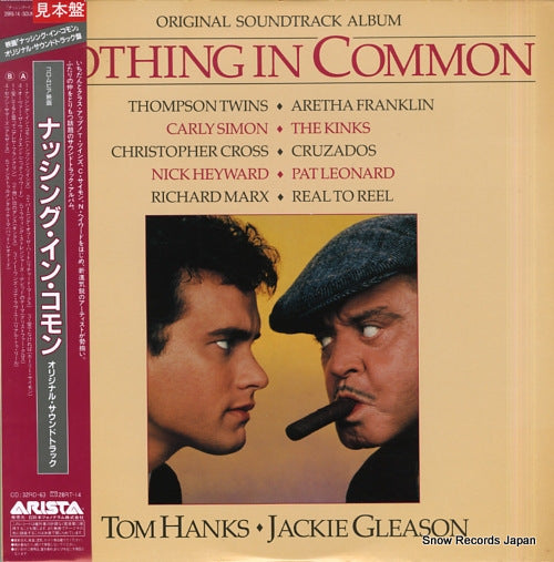 V/A nothing in common 28RS-14