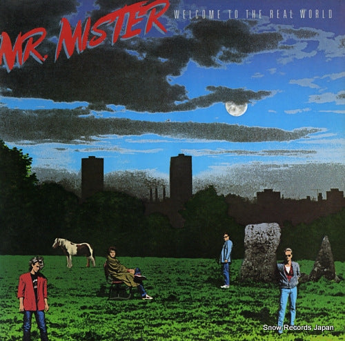 MR. MISTER welcome to the real world AFL1-7180