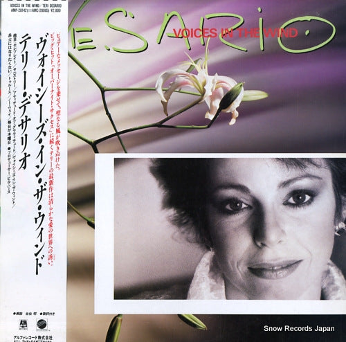 DESARIO, TERI voices in the wind AMP-28142