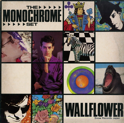 MONOCHROME SET, THE wallflower NEG12T