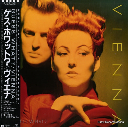 VIENNA guess what? P-13543