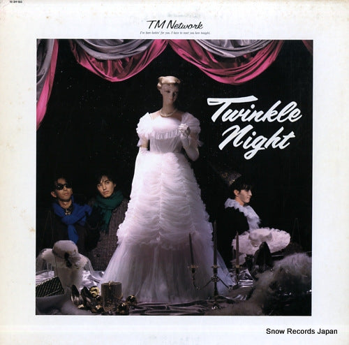 TM NETWORK twinkle night 15.3H-185