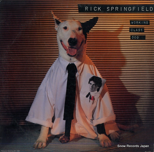 SPRINGFIELD, RICK working class dog AYL1-4766
