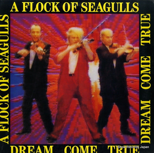 A FLOCK OF SEAGULLS dream come true JL8-8411