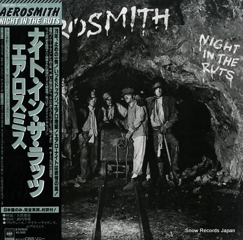 AEROSMITH night in the ruts 25AP1601