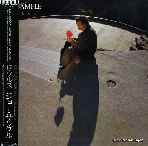 SAMPLE, JOE roles P-13494