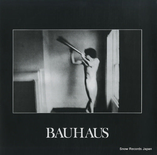 BAUHAUS in the flat field P-11049J