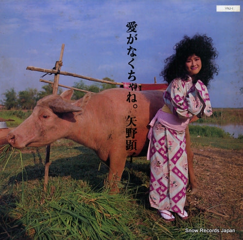YANO, AKIKO ai ga nakuchane YNJ-1 / JAL-1801