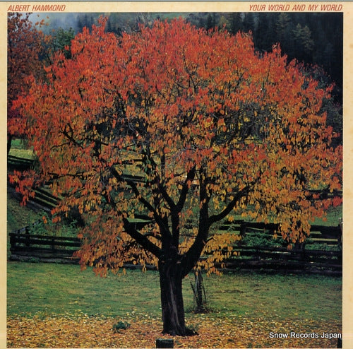 HAMMOND, ALBERT your world and my world 25AP2025