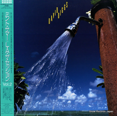 DIGGS, DAVID streetshadows VIJ-28046