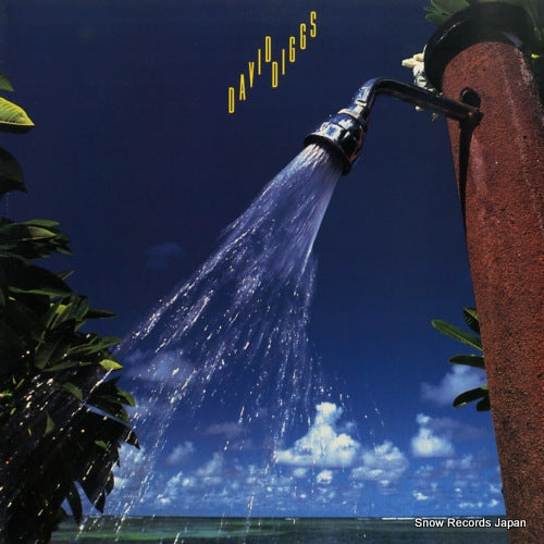 DIGGS, DAVID streetshadows VIJ-28046