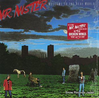 MR. MISTER welcome to the real world AFL1-7180