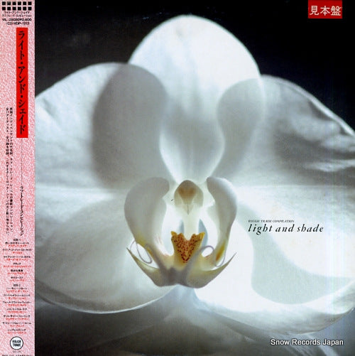 V/A light and shade / rough trade compilation VIL-28080