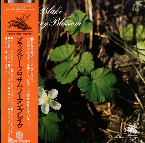 BLAKE, NORMAN blackberry blossom PA-6097