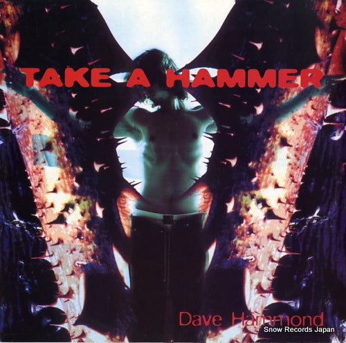DAVE HAMMOND take a hammer TRD1471