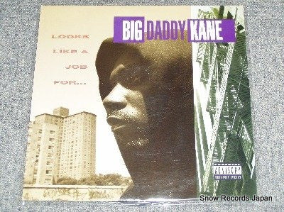 BIG DADDY KANE looks like a job for 1-45128