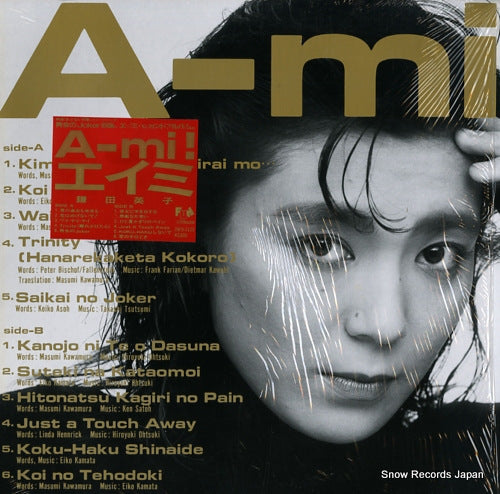 KAMATA, EIKO a-mi 28FB-2123