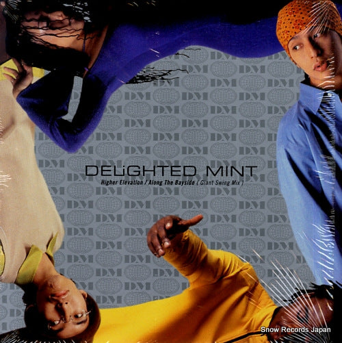 DELIGHTED MINT higher elevation / along the bayside DMLP-0001